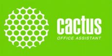 Фотобумага Cactus CS-MA4190100DS A4, 190 г/м2, 100 л., покрытие - матовое